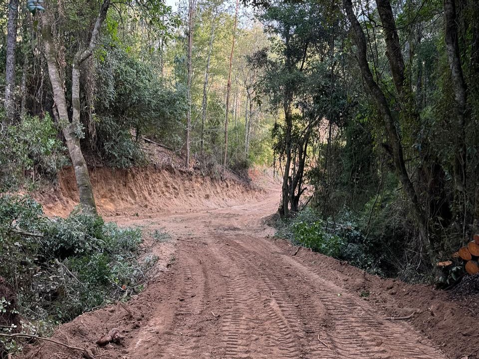 Bosque nativo y vegetación en terreno rural